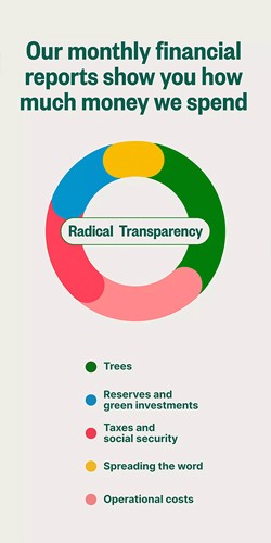 Ecosia浏览器截图
