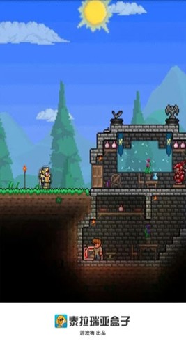 泰拉瑞亚盒子截图