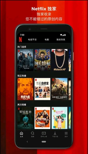 netflix截图