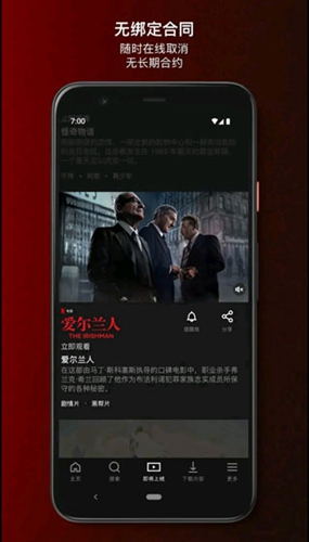 netflix截图