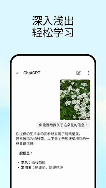 CHATGPT截图