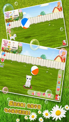 晴天小猫截图4