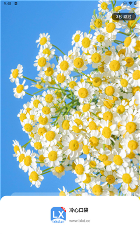 冷心口袋截图