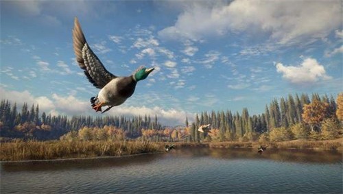 猎人荒野的召唤截图