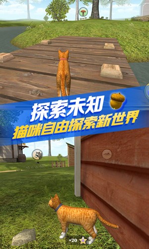 猫咪生存模拟器截图