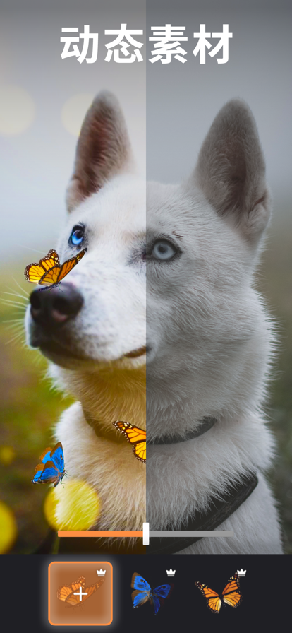 Motionleap安卓版截图