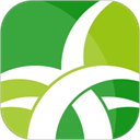 野草助手电视版