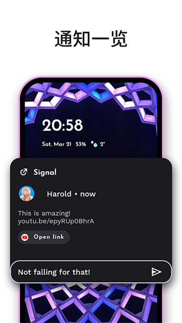 Niagara Launcher截图