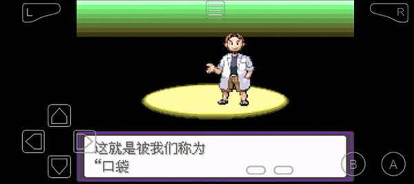 宝可梦漆黑的魅影截图