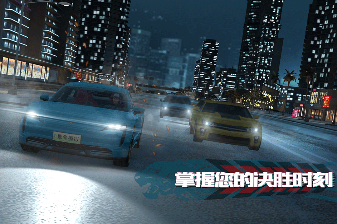 驾考模拟老司机之路截图2