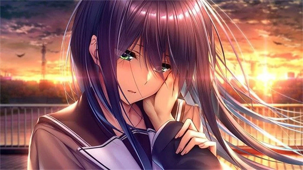 甜蜜女友2安卓直装2.0汉化版截图