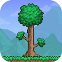 泰拉瑞亚皮皮蛙汉化版