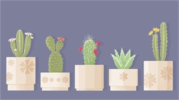 往左一点看星星截图
