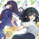 永夏之恋