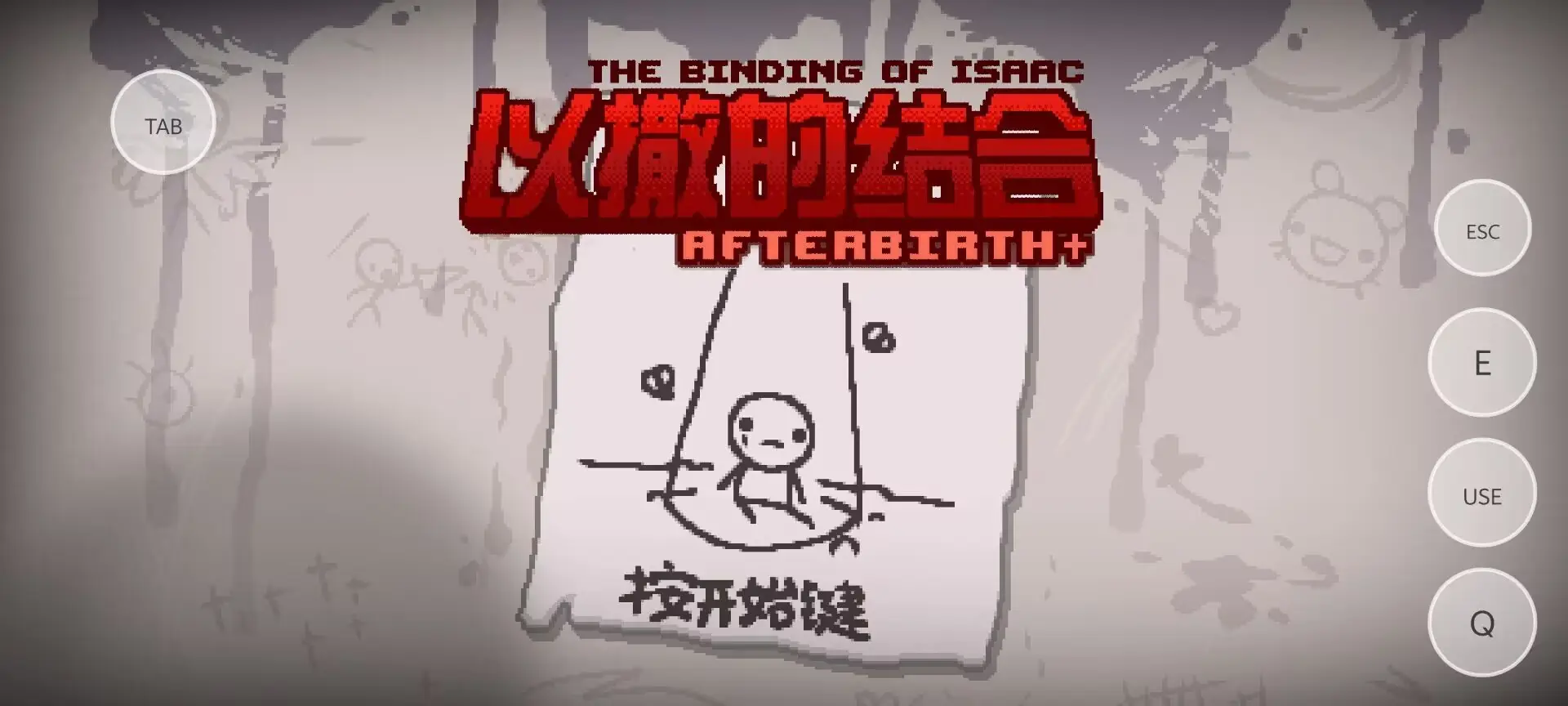 以撒的结合胎衣截图