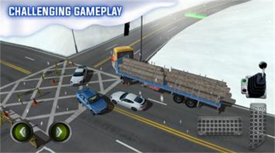冰路卡车停车模拟手机版截图